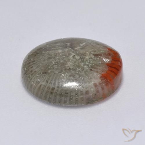 Corallo Multicolore naturale da 6.25 ct, Rotondo, Traslucido