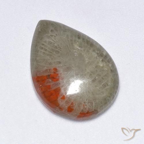 10.40ct Naturale Multicolore Corallo, Forma a pera, Traslucido