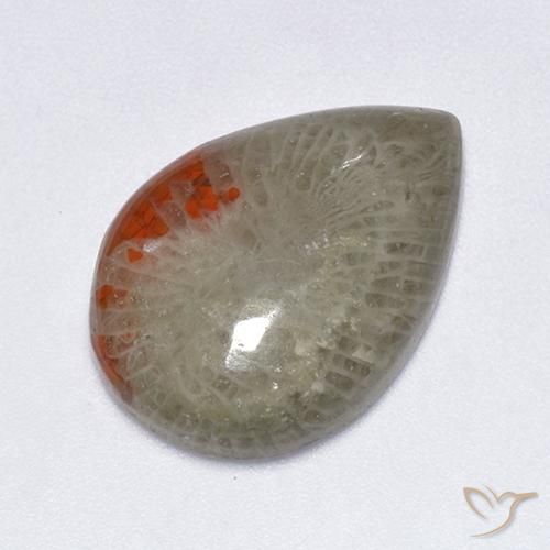 Corallo Multicolore naturale da 10.40 ct, Forma a pera, Traslucido