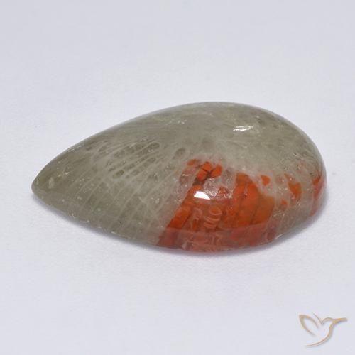 Corallo Multicolore naturale da 10.40 ct, Forma a pera, Traslucido