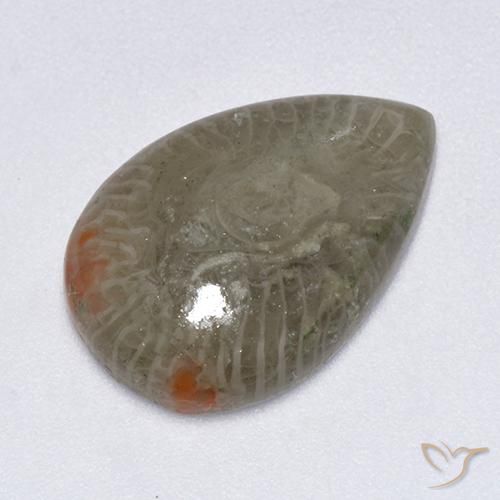 5.79ct Naturale Multicolore Corallo, Forma a pera, Traslucido