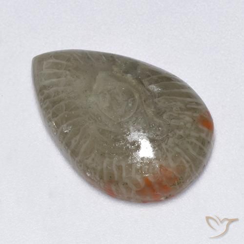Corallo Multicolore naturale da 5.79 ct, Forma a pera, Traslucido