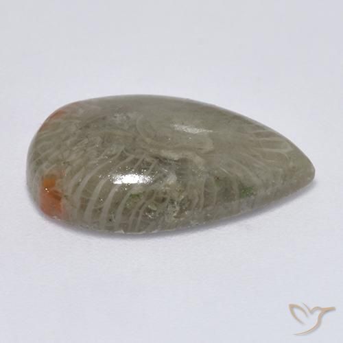 Corallo Multicolore naturale da 5.79 ct, Forma a pera, Traslucido
