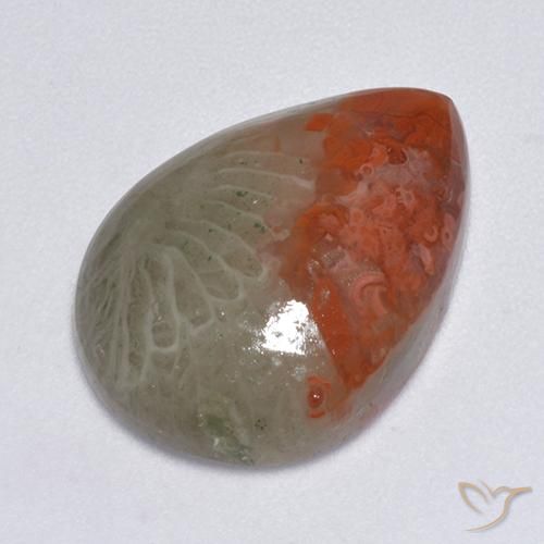 8.14ct Naturale Multicolore Corallo, Forma a pera, Traslucido