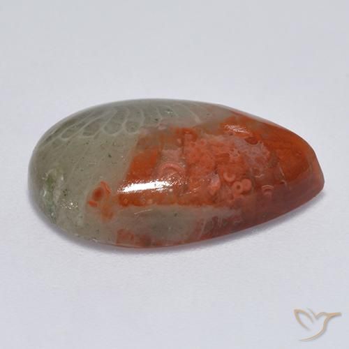 Corallo Multicolore naturale da 8.14 ct, Forma a pera, Traslucido