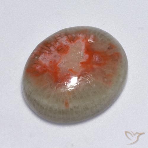 7.75ct Naturale Multicolore Corallo, Ovale, Traslucido