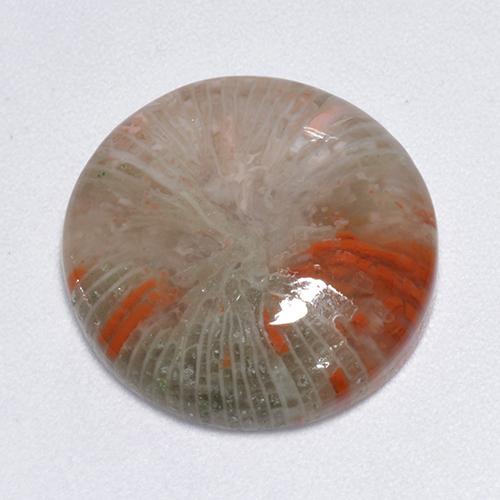 Corallo Multicolore naturale da 9.25 ct, Taglio rotondo, Traslucido