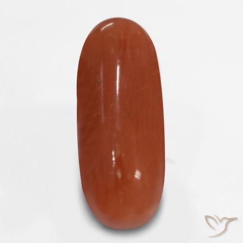 2.47ct Naturale Rosso fuoco Corallo, Ovale, Opaco