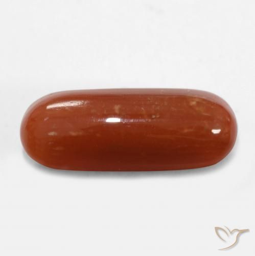 Corallo Rosso fuoco naturale da 2.47 ct, Ovale, Opaco