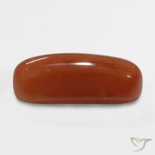 Corallo Rosso fuoco naturale da 2.47 ct, Ovale, Opaco