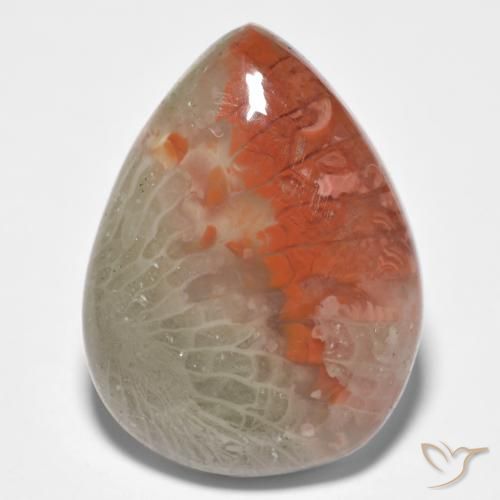10.86ct Naturale Multicolore Corallo, Forma a pera, Traslucido