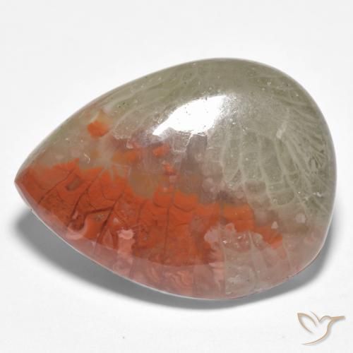 Corallo Multicolore naturale da 10.86 ct, Forma a pera, Traslucido