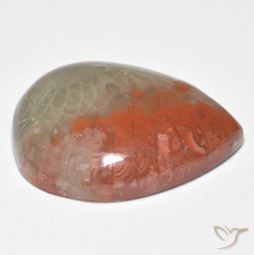 Corallo Multicolore naturale da 10.86 ct, Forma a pera, Traslucido