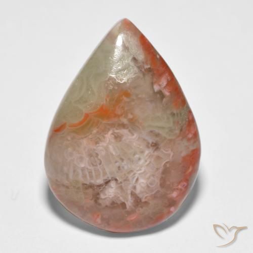 11.65ct Naturale Multicolore Corallo, Forma a pera, Traslucido