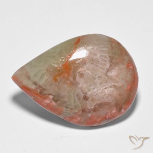 Corallo Multicolore naturale da 11.65 ct, Forma a pera, Traslucido