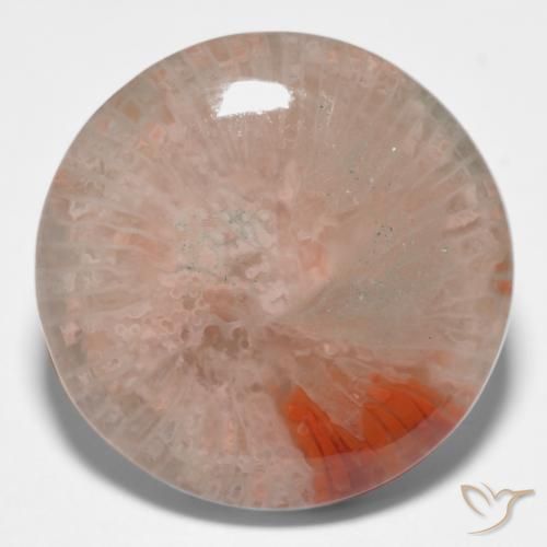 11.09ct Naturale Multicolore Corallo, Rotondo, Traslucido