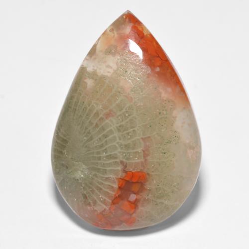 Corallo naturale multicolore da 15,90 ct, taglio a pera, traslucido