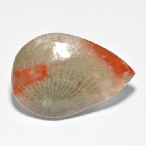Corallo naturale multicolore da 15,90 ct, taglio a pera, traslucido