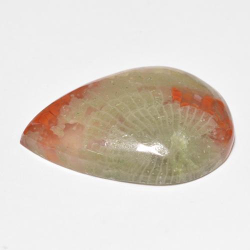 Corallo naturale multicolore da 15,90 ct, taglio a pera, traslucido
