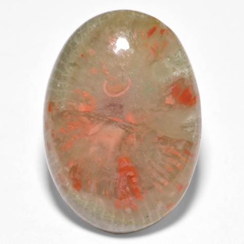 Corallo naturale multicolore da 10,04 ct, taglio ovale, traslucido
