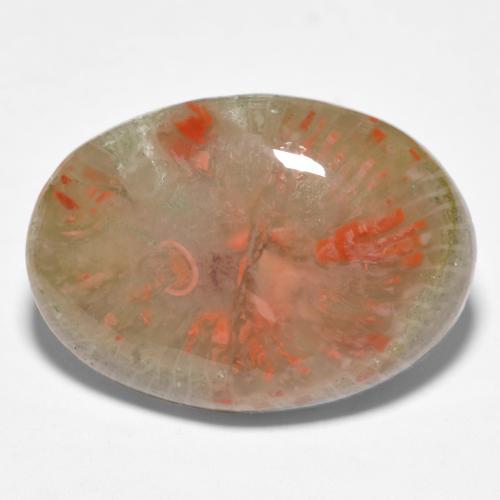 Corallo naturale multicolore da 10,04 ct, taglio ovale, traslucido