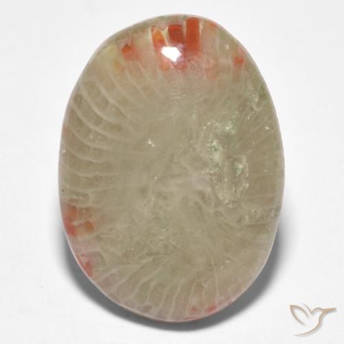 8.81ct Naturale Multicolore Corallo, Ovale, Traslucido