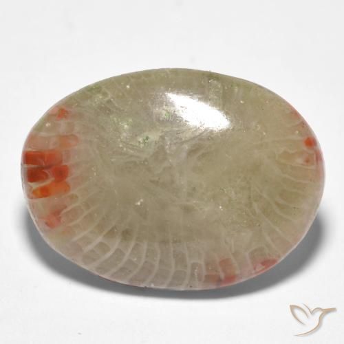Corallo Multicolore naturale da 8.81 ct, Ovale, Traslucido