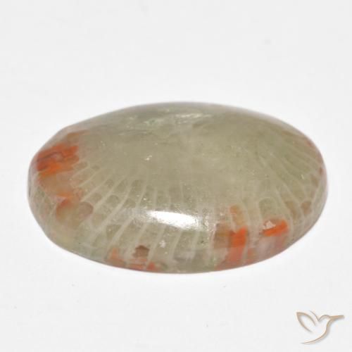 Corallo Multicolore naturale da 8.81 ct, Ovale, Traslucido