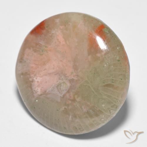 Corallo Multicolore naturale da 11.91 ct, Rotondo, Traslucido