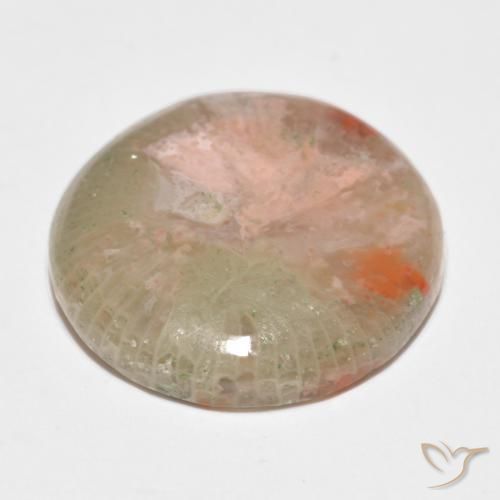 Corallo Multicolore naturale da 11.91 ct, Rotondo, Traslucido