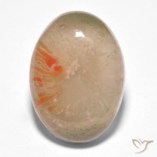 10.34ct Naturale Multicolore Corallo, Ovale, Traslucido