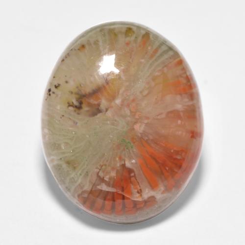 Corallo naturale multicolore da 11,35 ct, taglio ovale, traslucido