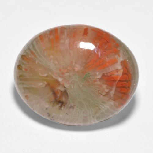 Corallo naturale multicolore da 11,35 ct, taglio ovale, traslucido