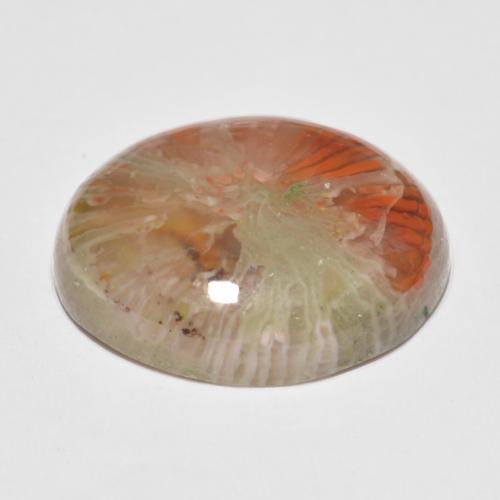 Corallo naturale multicolore da 11,35 ct, taglio ovale, traslucido