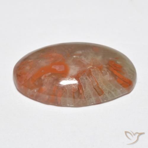 Corallo Multicolore naturale da 8.18 ct, Ovale, Traslucido