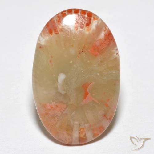 6.23ct Naturale Multicolore Corallo, Ovale, Traslucido