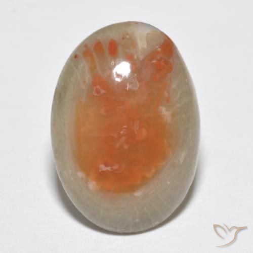 7.46ct Naturale Multicolore Corallo, Ovale, Traslucido
