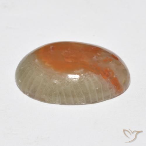 Corallo Multicolore naturale da 7.46 ct, Ovale, Traslucido