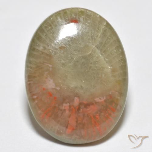 10.63ct Naturale Multicolore Corallo, Ovale, Traslucido
