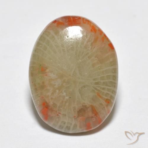 5.78ct Naturale Multicolore Corallo, Ovale, Traslucido