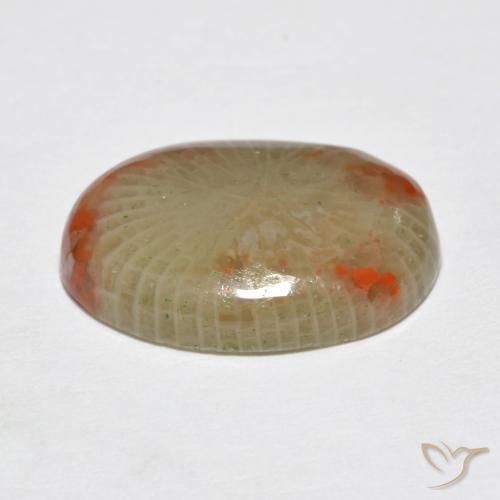 Corallo Multicolore naturale da 5.78 ct, Ovale, Traslucido