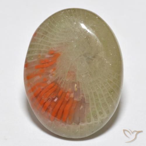 10.77ct Naturale Multicolore Corallo, Ovale, Traslucido