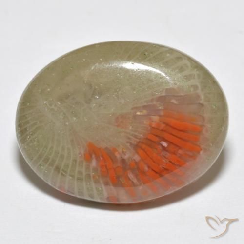 Corallo Multicolore naturale da 10.77 ct, Ovale, Traslucido