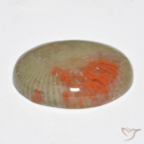 Corallo Multicolore naturale da 10.77 ct, Ovale, Traslucido