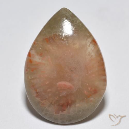 6.81ct Naturale Multicolore Corallo, Forma a pera, Traslucido