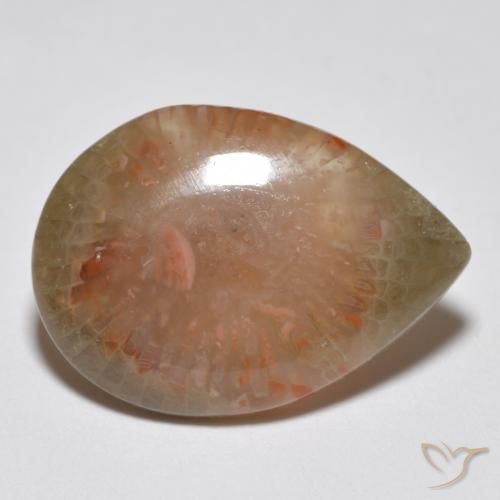 Corallo Multicolore naturale da 6.81 ct, Forma a pera, Traslucido
