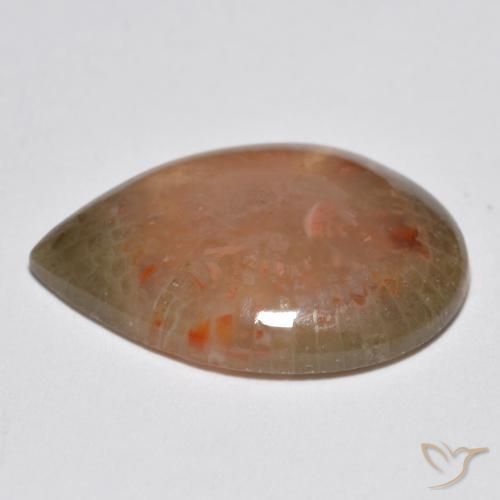 Corallo Multicolore naturale da 6.81 ct, Forma a pera, Traslucido