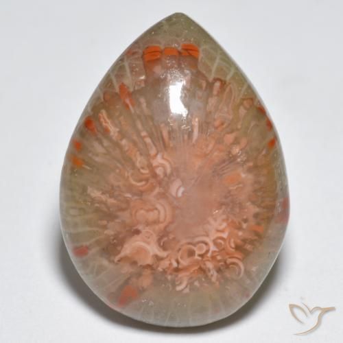 11.49ct Naturale Multicolore Corallo, Forma a pera, Opaco