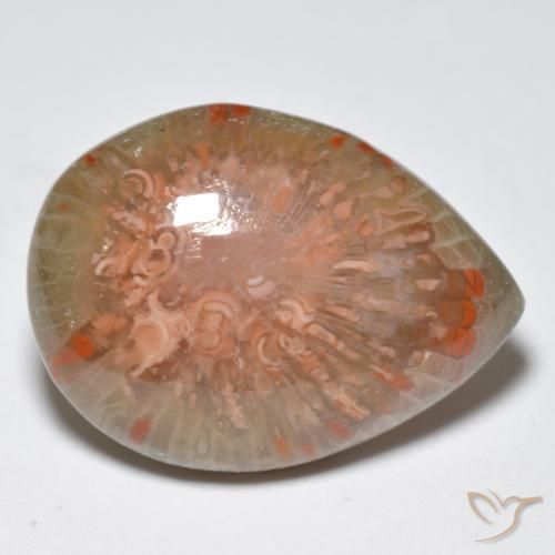 Corallo Multicolore naturale da 11.49 ct, Forma a pera, Opaco