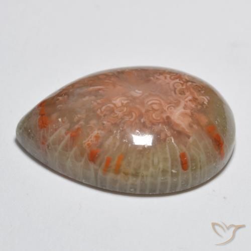 Corallo Multicolore naturale da 11.49 ct, Forma a pera, Opaco